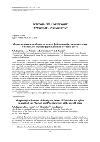 Морфологические особенности тимуса, фабрициевой сумки и селезенки у перепелок породы фараон, феникс в стадию роста