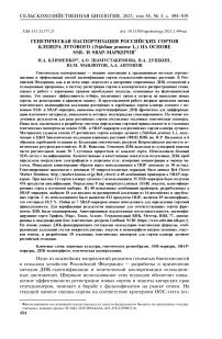 Генетическая паспортизация российских сортов клевера лугового (Тrifolium pratense L.) на основе SSR- и SRAP-маркеров