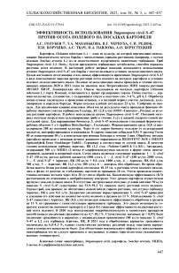 Эффективность использования Stagonospora cirsii S-47 против осота полевого на посадках картофеля