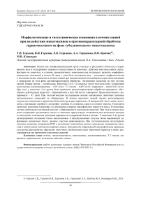 Морфологические и гистохимические изменения в печени свиней при воздействии микотоксинов и противопаразитарной обработке эприномектином на фоне субклинического микотоксикоза