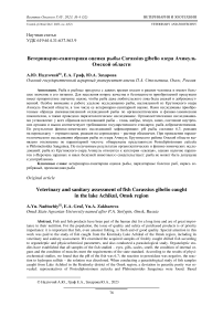 Ветеринарно-санитарная оценка рыбы Carassius gibelio озера Ачикуль Омской области