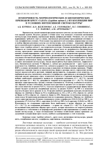 Изменчивость морфологических и биохимических признаков кресс-салата (Lepidium sativum L.) из коллекции ВИР в условиях интенсивной светокультуры