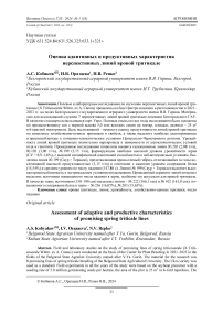 Оценка адаптивных и продуктивных характеристик перспективных линий яровой тритикале