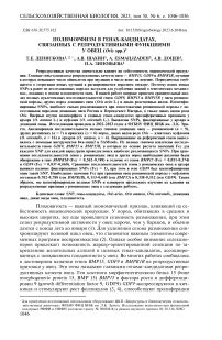 Полиморфизм в генах-кандидатах, связанных с репродуктивными функциями у овец (Ovis spp.)