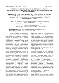 Изучение полиморфизма генов липидного обмена и жирномолочности джерсейской породы коров на примере ООО имени Тимирязева