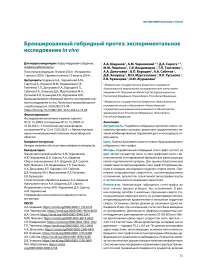 Браншированный гибридный протез: экспериментальное исследование in vivo