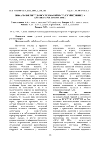 Визуальные методы исследований патологий копытец у крупного рогатого скота