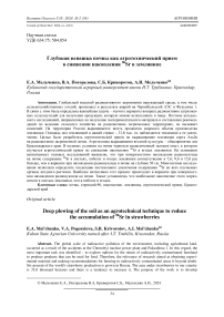 Глубокая вспашка почвы как агротехнический прием в снижении накопления 90Sr в землянике