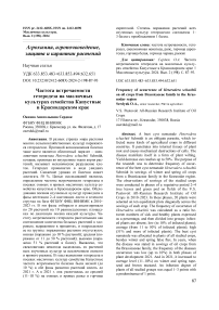 Частота встречаемости гетеродеза на масличных культурах семейства капустные в Краснодарском крае