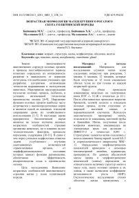 Возрастная морфология матки крупного рогатого скота голштинской породы