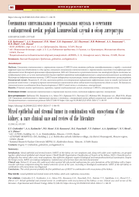 Смешанная эпителиальная и стромальная опухоль в сочетании с онкоцитомой почки: редкий клинический случай и обзор литературы