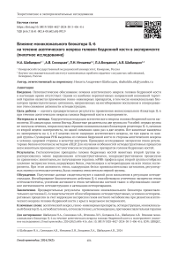 Влияние моноклонального блокатора IL-6 на течение асептического некроза головки бедренной кости в эксперименте (пилотное исследование)