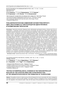 Роль морфологических изменений паравентрикулярного ядра гипоталамуса и тиротропоцитов аденогипофиза в формировании тиреопатий