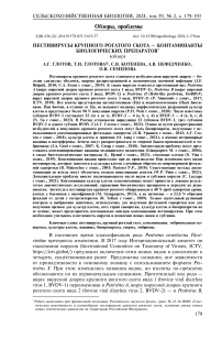 Пестивирусы крупного рогатого скота - контаминанты биологических препаратов (обзор)