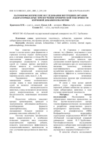 Патоморфологические исследования внутренних органов лабораторных крыс при изучении хронической токсичности кормовой добавки кобаметин