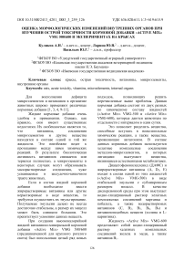 Оценка морфологических изменений внутренних органов при изучении острой токсичности кормовой добавки «Active Mix» VMG 500/600 в экспериментах на крысах