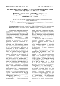 Изучение иммунореактивности ВЛКРС-инфицированных коров на основе ПЦР-ПДРФ анализа гена ENV BLV