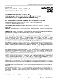 Оценка влияния спиц для остеосинтеза на структурную реорганизацию метаэпифизарного хряща (экспериментально-морфологическое исследование)