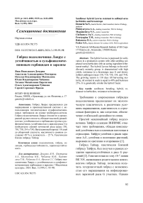 Гибрид подсолнечника Лаврус с устойчивостью к сульфонилмочевиновым гербицидам и заразихе