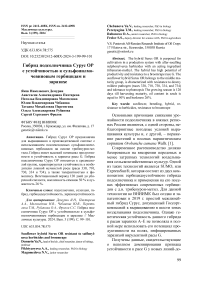 Гибрид подсолнечника Сурус Ор с устойчивостью к сульфонилмочевиновым гербицидам и заразихе