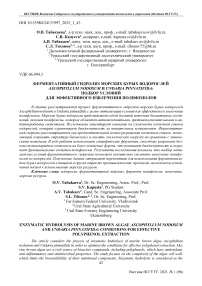 Ферментативный гидролиз морских бурых водорослей Ascophyllum nodosum и Undaria pinnatifida: подбор условий для эффективного извлечения полифенолов