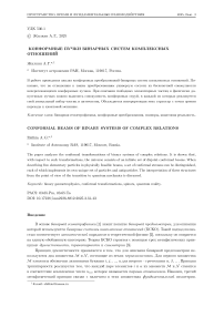 Конформные пучки бинарных систем комплексных отношений