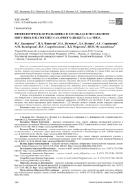 Физиологическая роль цинка и его вклад в метаболизм инсулина и патогенез сахарного диабета 2-го типа