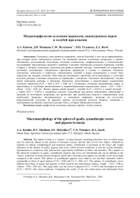 Макроморфология селезенки перепелов, синантропных ворон и голубей при атаксии