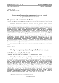 Этиология заболеваний респираторной системы свиней в промышленном комплексе