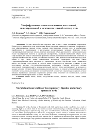 Морфофункциональные исследования дыхательной, пищеварительной и мочевыделительной систем у птиц