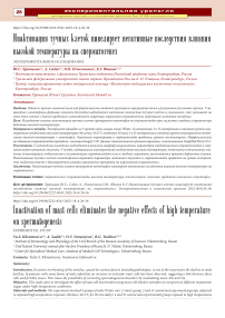 Инактивация тучных клеток нивелирует негативные последствия влияния высокой температуры на сперматогенез