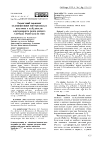 Первичный скрининг коллекционных бактериальных штаммов к возбудителю альтернариоза рапса озимого Alternaria brassicicola in vitro