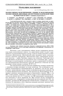 Молекулярное моделирование, докинг и моделирование молекулярной динамики для изучения взаимодействия бел-ков PAD4 и EDS1 у Solanum lycopersicum L.