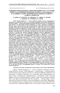 Влияние ризобактерий, стимулирующих рост растений (PGPR), на различные признаки арахиса (Arachis hypogaea L.) в условиях сухого тропического климата в округе Lasbela, Пакистан