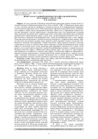 Вены таза и тазовой конечности байкальской нерпы (Pusa sibirica Gmelin, 1788)