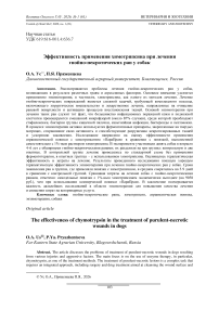 Эффективность применения химотрипсина при лечении гнойно- некротических ран у собак