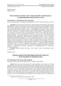 Исследование генотипа телят и коров красной степной породы для формирования продуктивного стада
