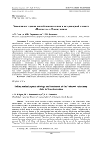 Этиология и терапия панлейкопении кошек в ветеринарной клинике «Ветсоветъ» г. Новокузнецка
