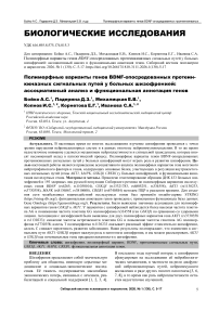 Полиморфные варианты генов BDNF-опосредованных протеинкиназных сигнальных путей у больных шизофренией: ассоциативный анализ и функциональная аннотация генов