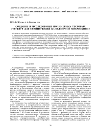 Создание и исследование полимерных тестовых структур для сканирующей капиллярной микроскопии