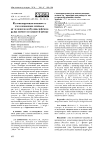 Колонизирующая активность коллекционных штаммов антагонистов возбудителя фомоза рапса озимого во влажной камере
