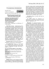 Новый раннеспелый сорт подсолнечника Классик