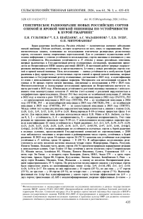 Генетическое разнообразие новых российских сортов озимой и яровой мягкой пшеницы по устойчивости к бурой ржавчине