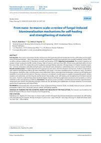 From nano- to macro-scale: a review of fungal-induced biomineralization mechanisms for self-healing and strengthening of materials