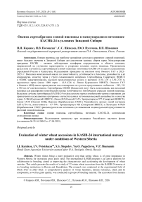 Оценка сортообразцов озимой пшеницы в международном питомнике КАСИБ-24 в условиях Западной Сибири