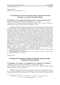 Селекционная и цитогенетическая оценка линий многолетней пшеницы в условиях Западной Сибири