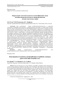 Определение чувствительности и идентификация генов антибиотикорезистентности микроорганизмов молока маститных коров