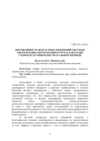 Интенсивность возрастных изменений системы ацетилхолин-ацетилхолинэстераза в желудке у поросят в раннем постнатальном периоде