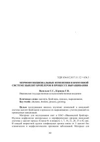 Морфофункциональные изменения в иммунной системе цыплят бройлеров в процессе выращивания