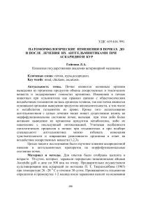 Патоморфологические изменения в почках до и после лечения их антгельминтиками при аскаридиозе кур